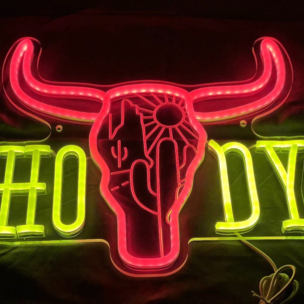 TEXAS LONGHORN HOWDY NEON LED SIGN